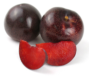 Plumogranate Plumcot